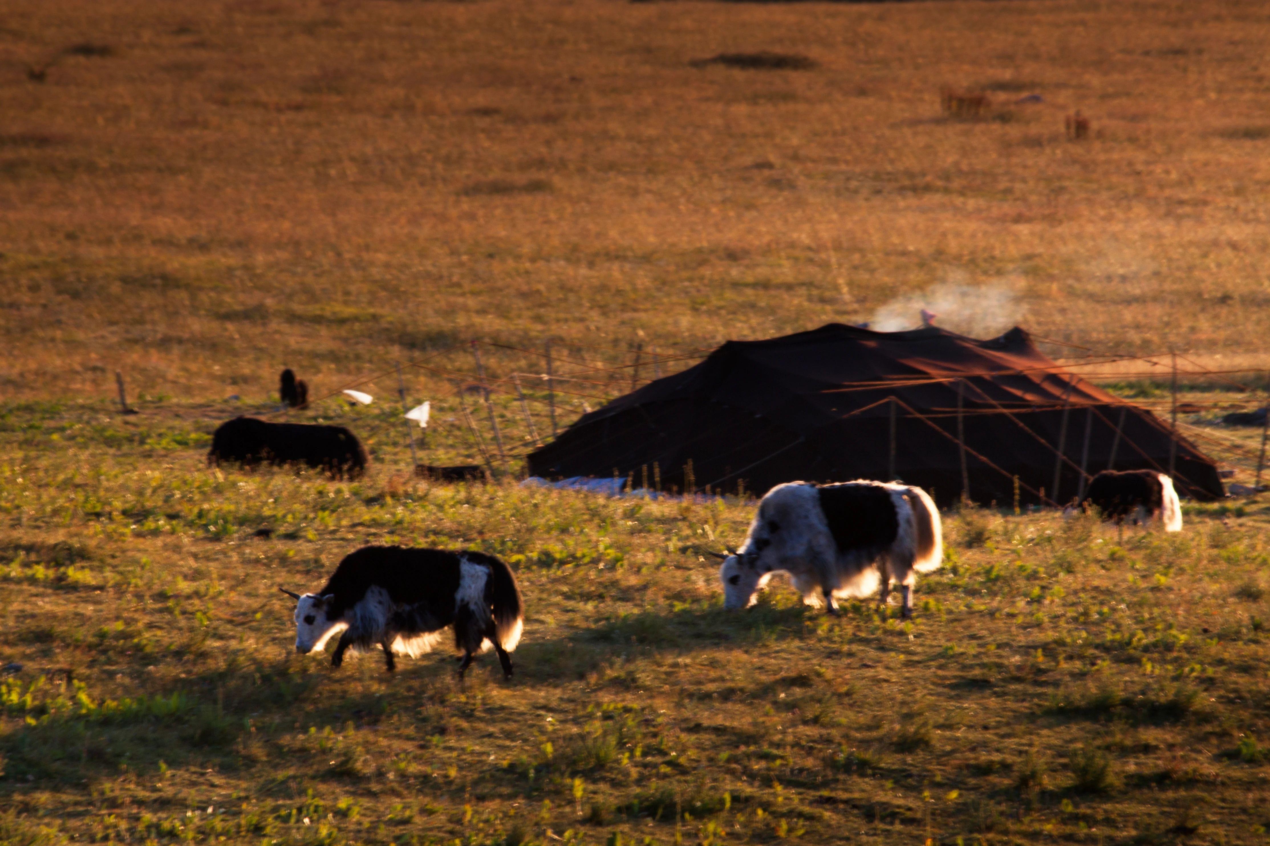 1733986956210678.png 图片1.png