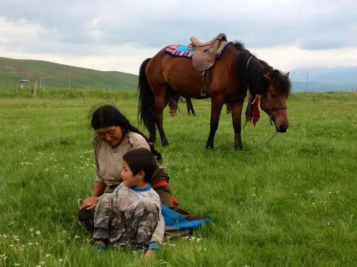 timg (3).jpeg 图片