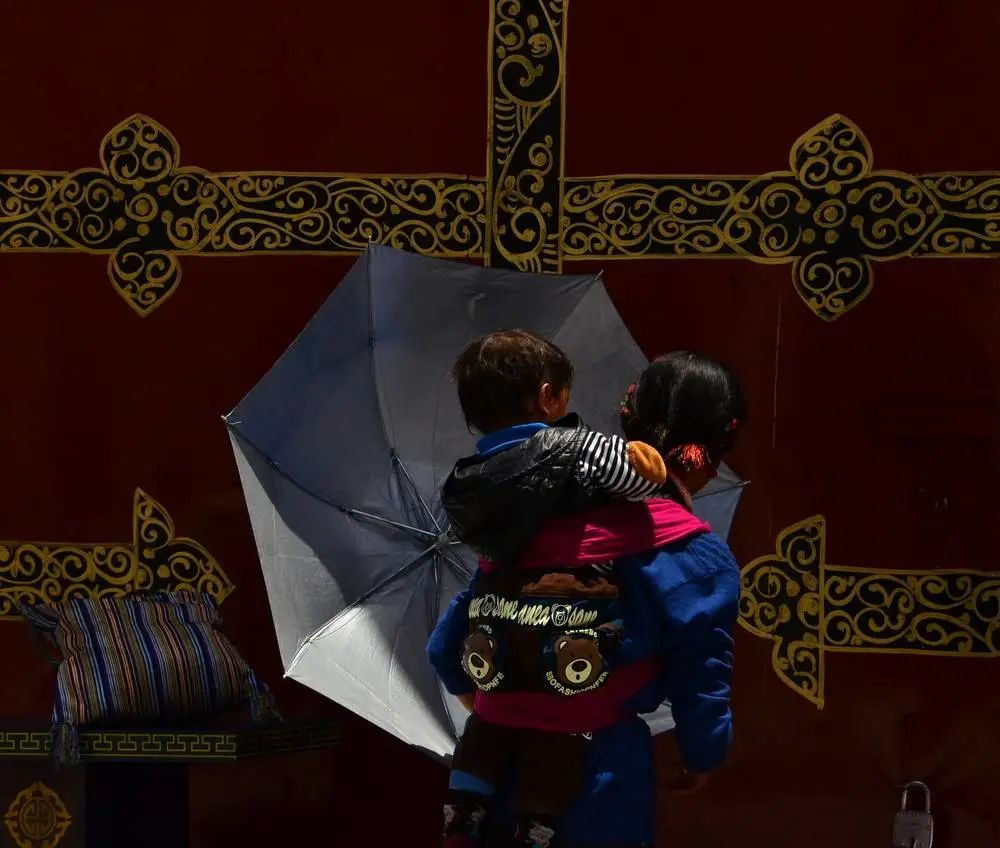 timg (2).jpeg 图片