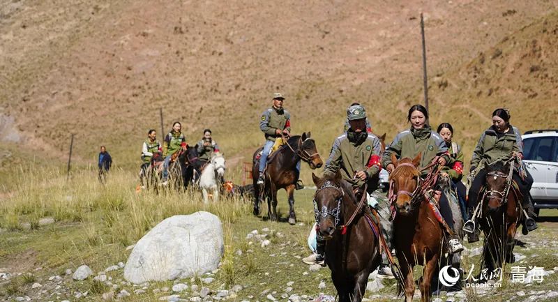 1697417460164184.jpg 2.jpg