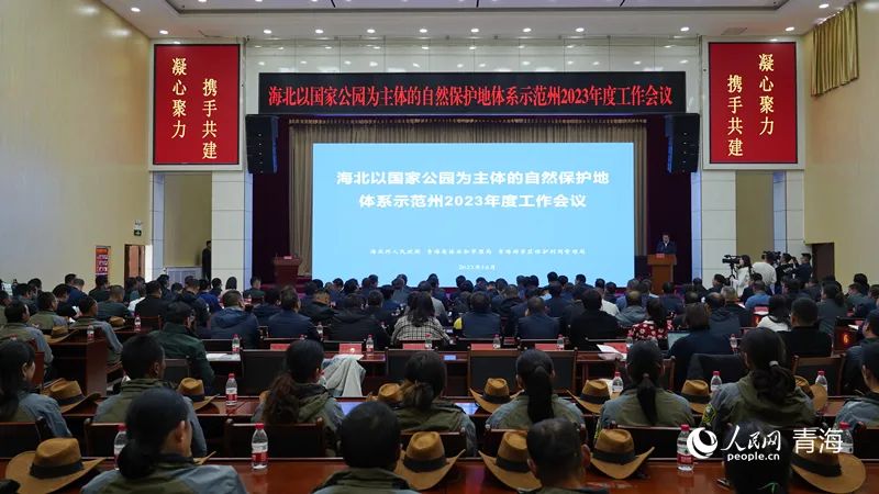 1697417666526689.jpg 1.jpg