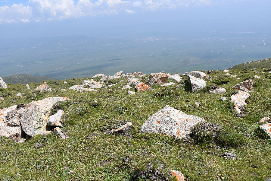 1697509921752424.jpg 1~3.jpg