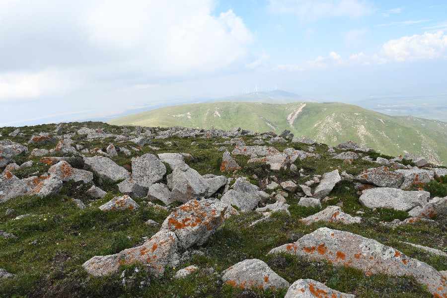 1697509904793305.jpg 2.jpg