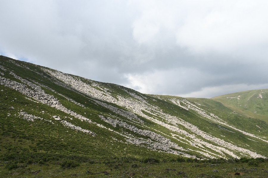 1697509943116405.jpg 4.jpg