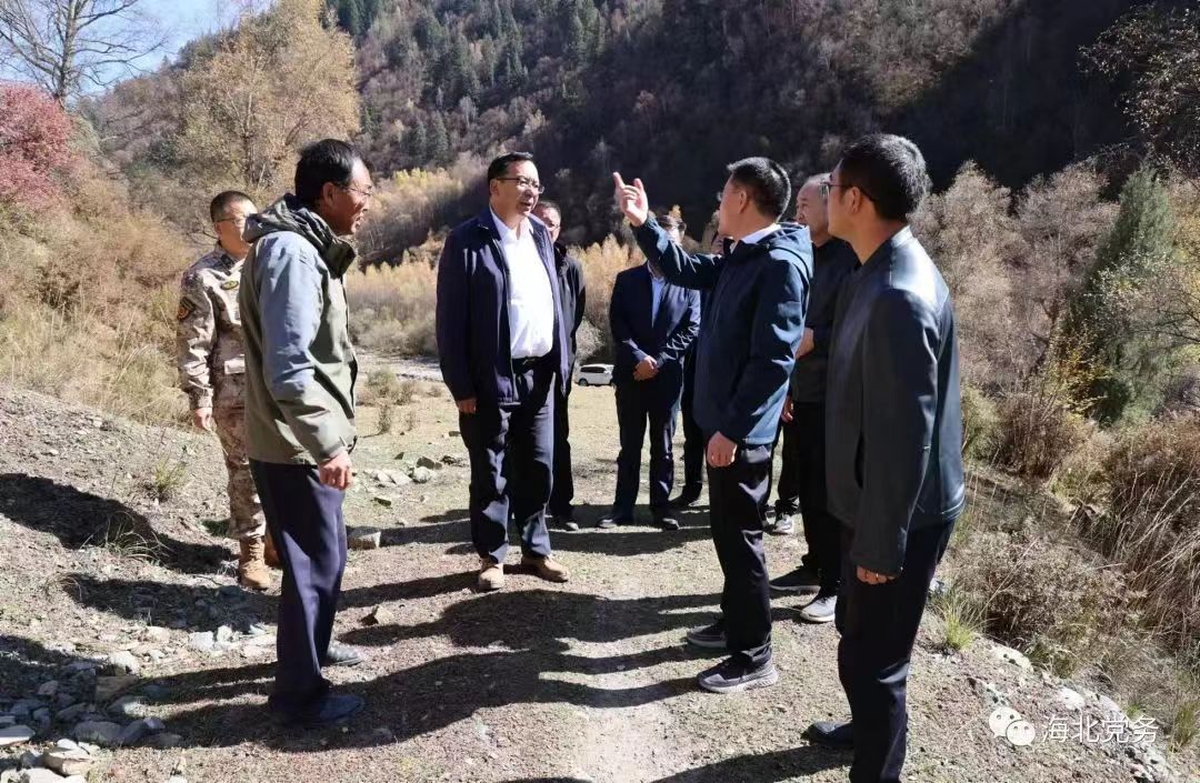 1697700412175355.jpg 1.jpg