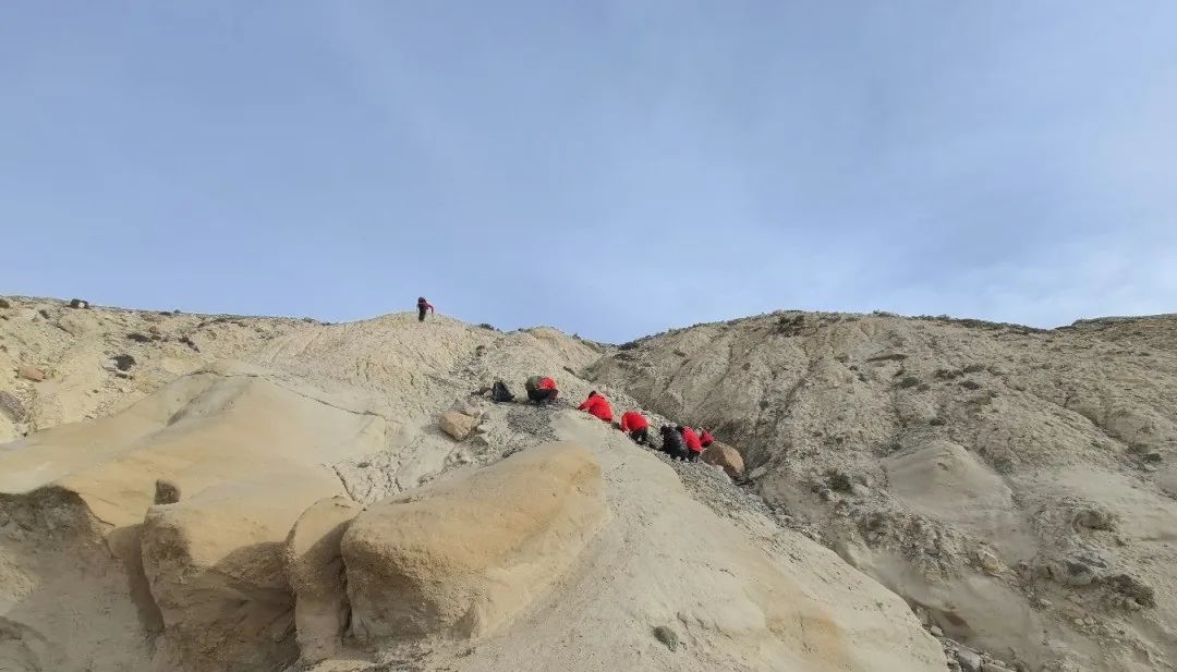 古生物队在卓奥友峰加布拉化石点调查 图片来源:“巅峰使命”卓奥友峰科考古生物分队.png 图片