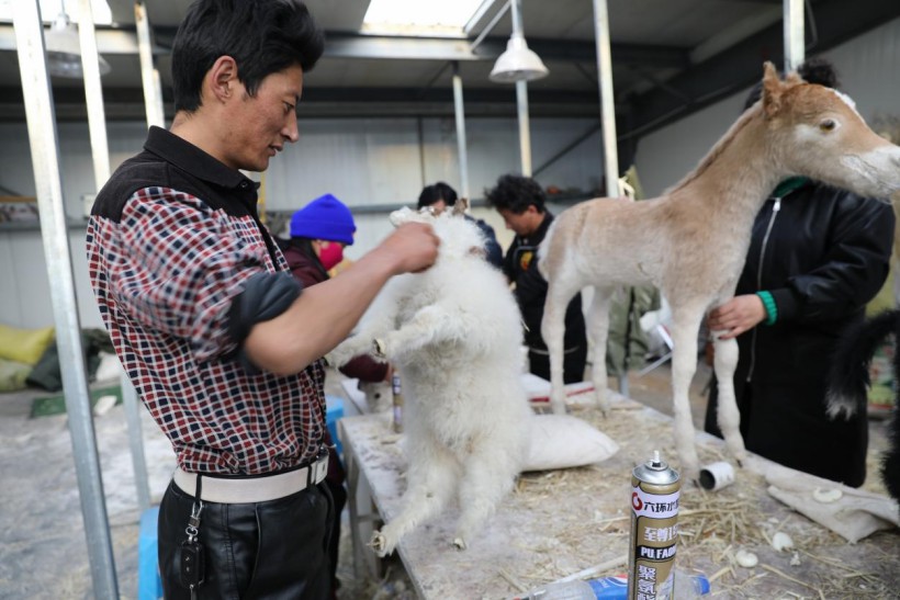 1698738994104227.jpg 2~1.jpg