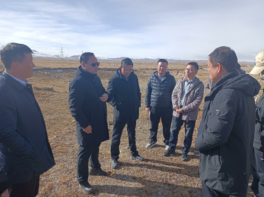 1700100855346702.jpg 2.jpg