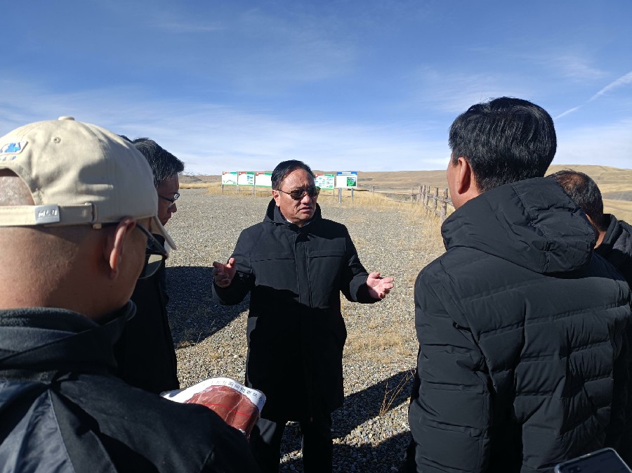 1700100867439649.jpg 3.jpg