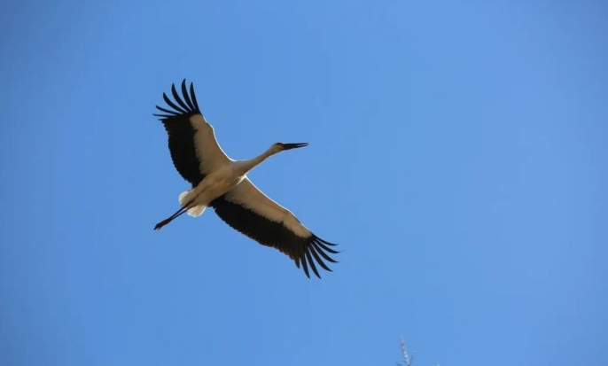 1703461538800914.png 5.png