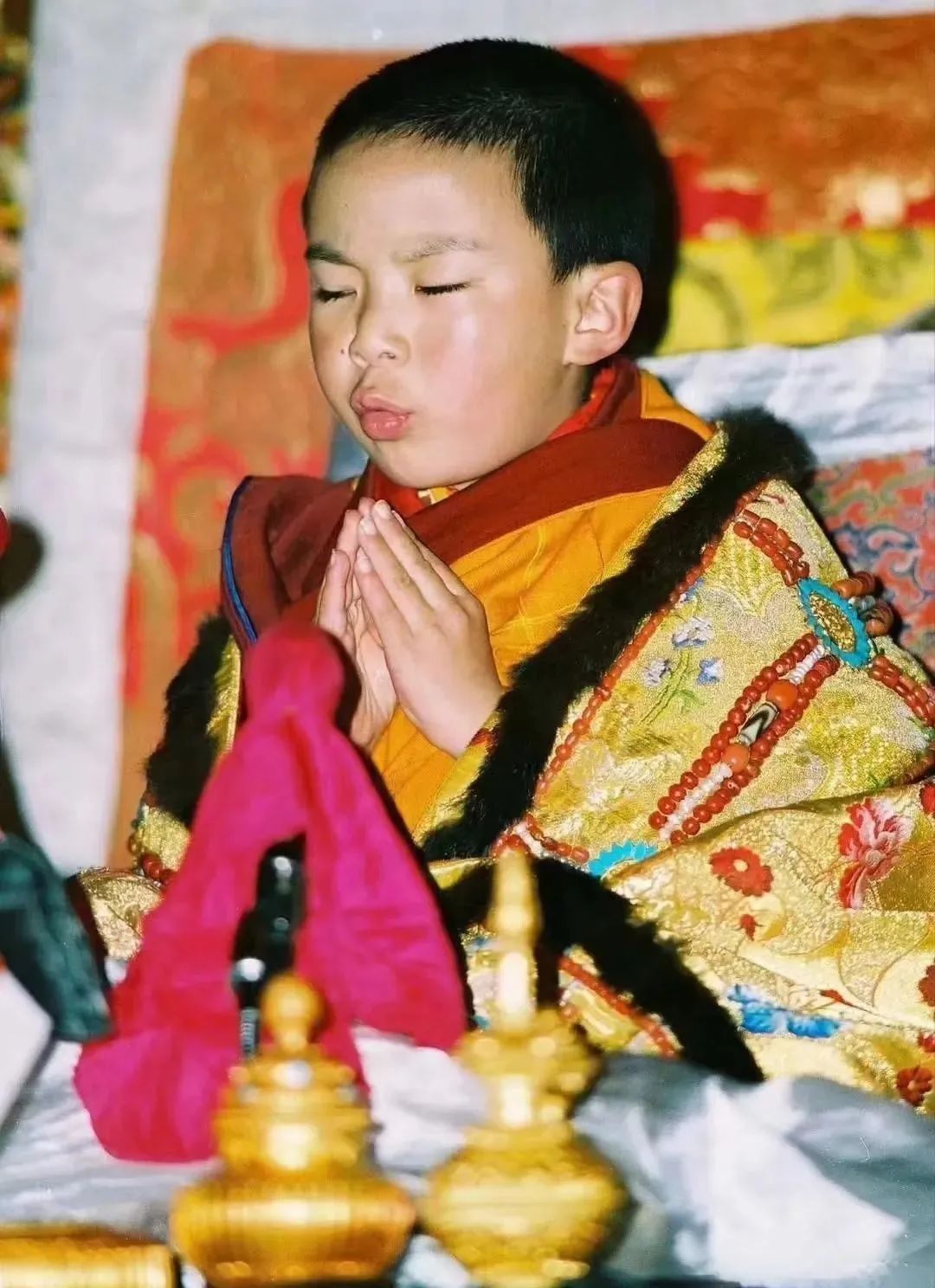 1704248835128361.jpg 156.jpg