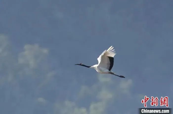 1705362653102427.jpg 图片