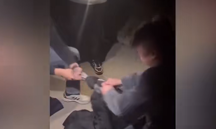 1705621652776936.png 图片