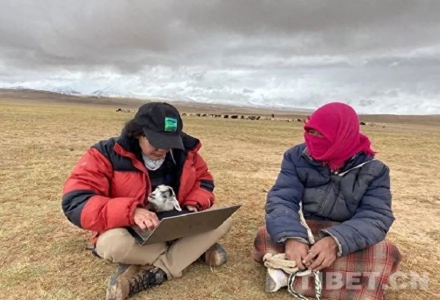 1709777148458646.jpg 图片