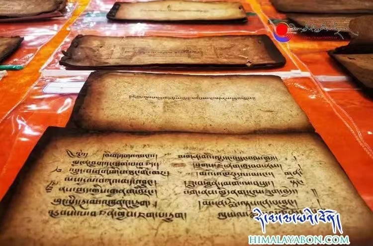 1711001148103377.jpg 微信图片_20240321140356.jpg