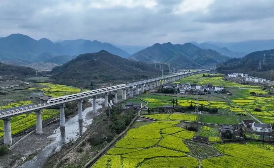 1711497405170193.jpg 图片