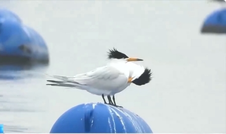 1711497470898016.png 图片