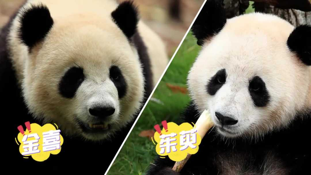 1714000051102299.jpg 04.jpg