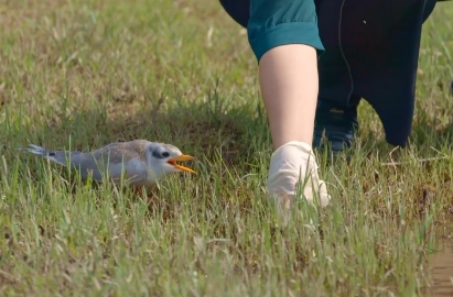 1718236182399827.png 图片