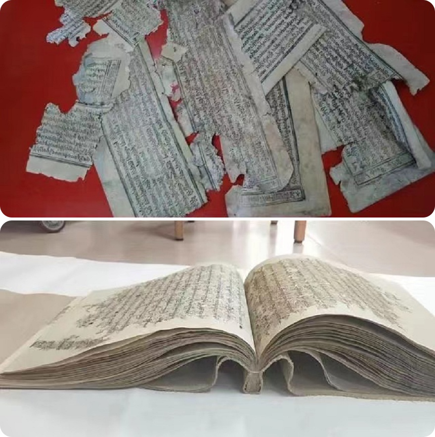 1719193813948927.jpg ༥.jpg