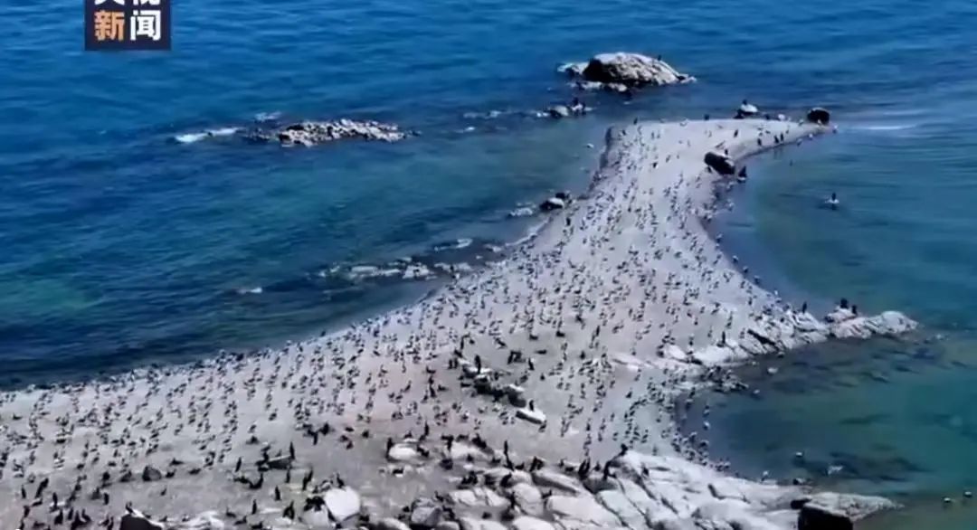 1719366313955996.jpg 图片