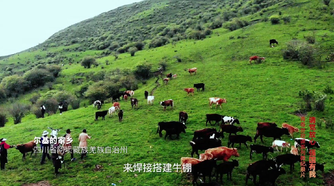 1721186744180739.jpg 3.jpg