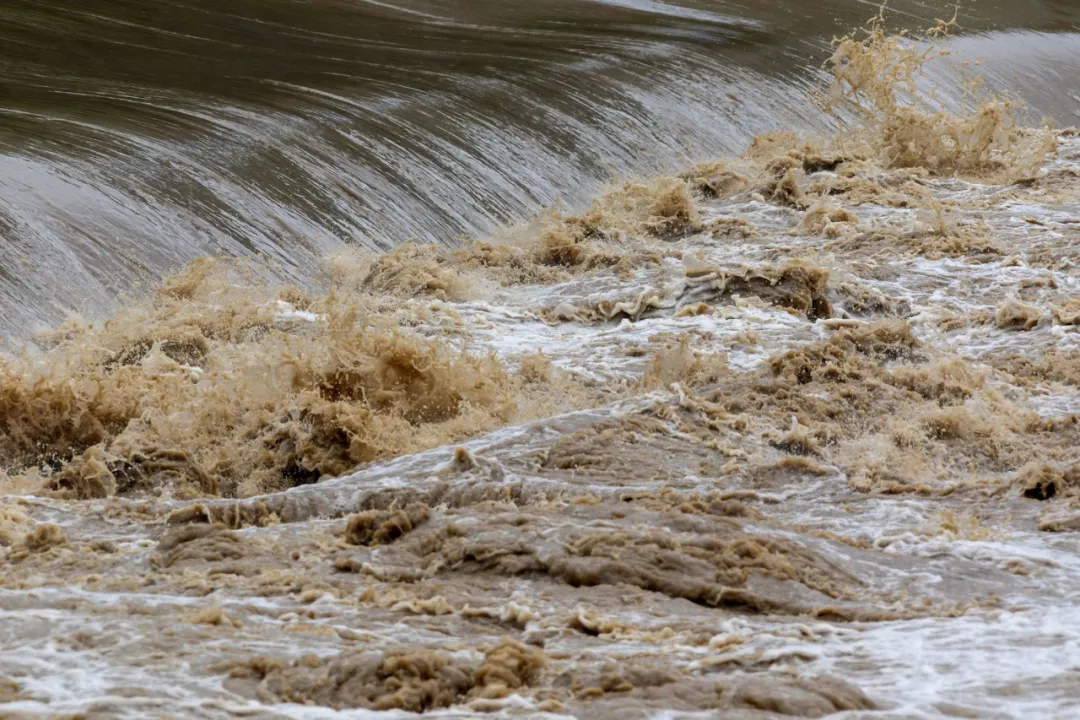 1721698879820659.jpg 2.jpg