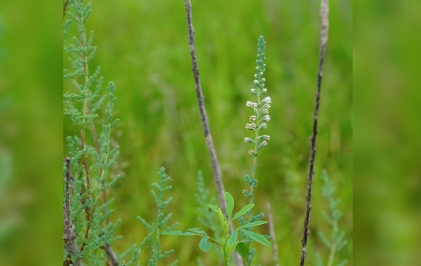 1721691555158200.png 5.png