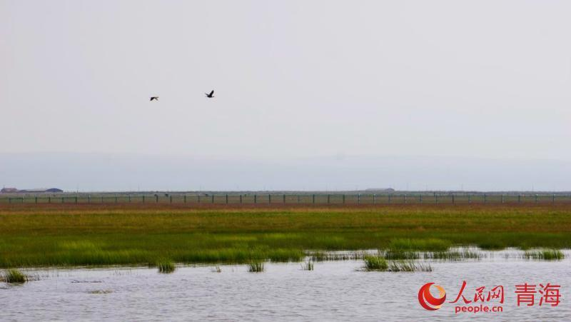 1723015617208955.png 图片2.png