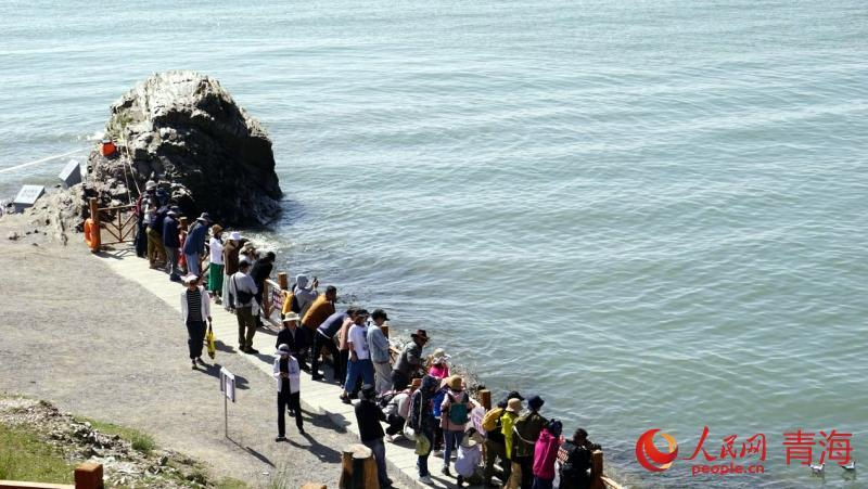 1723015640148713.png 图片3.png