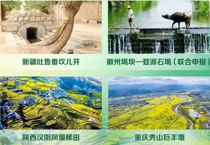 1725406491144818.jpg 图片