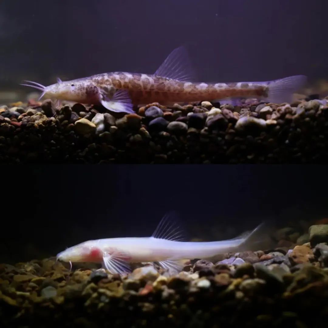 1728689254102213.jpg 图片