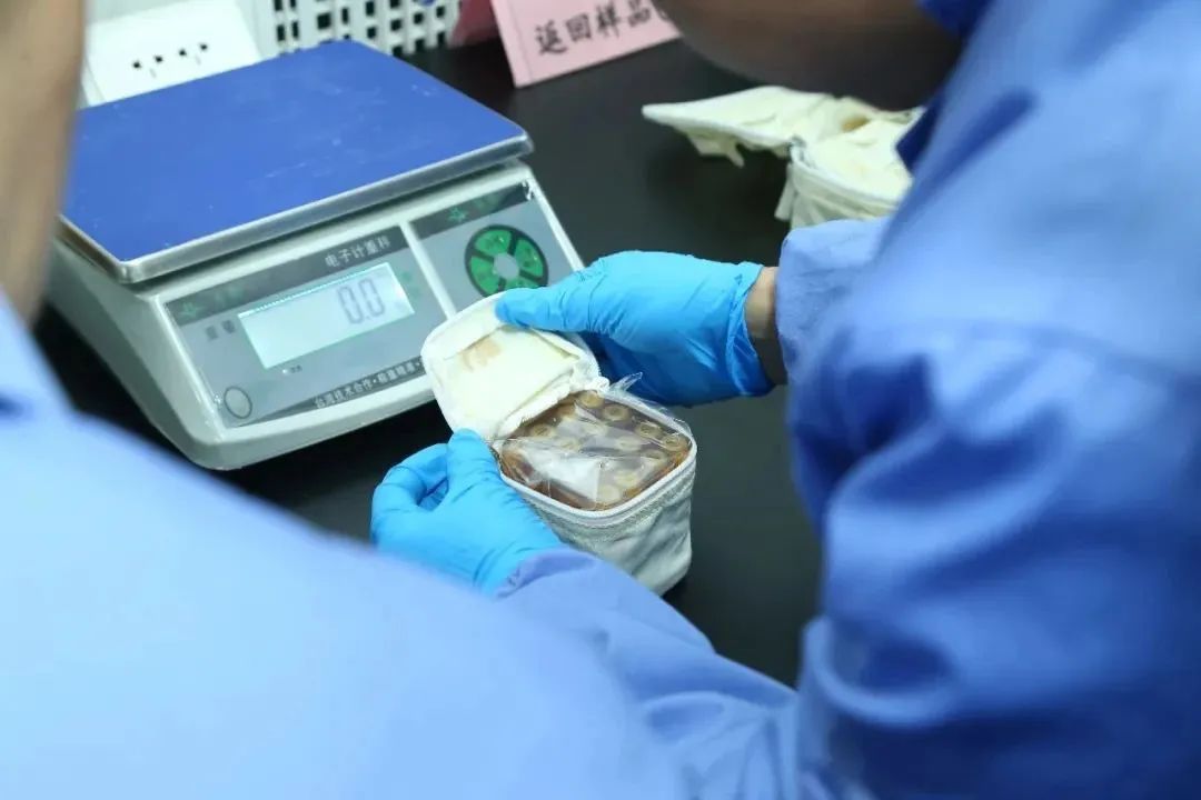 1730763269789475.jpg 图片