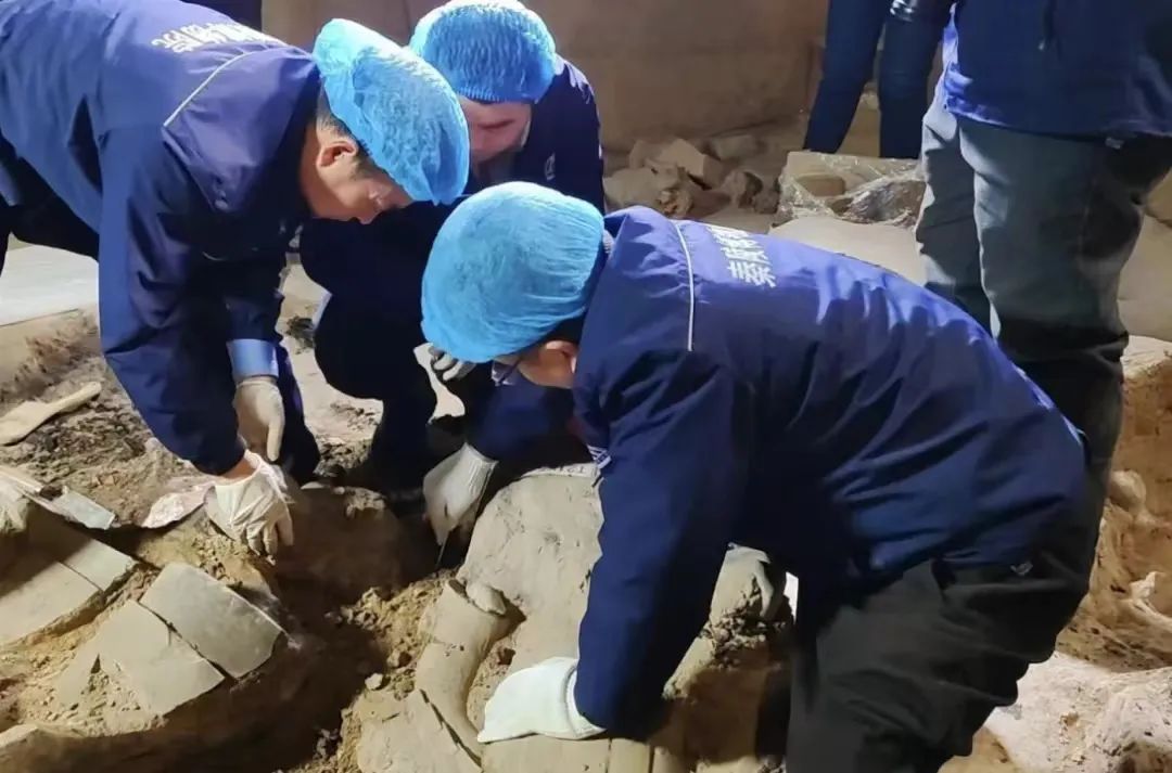 1734564364187333.jpg 图片