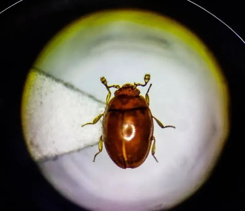 1739751750323837.jpg 3.jpg