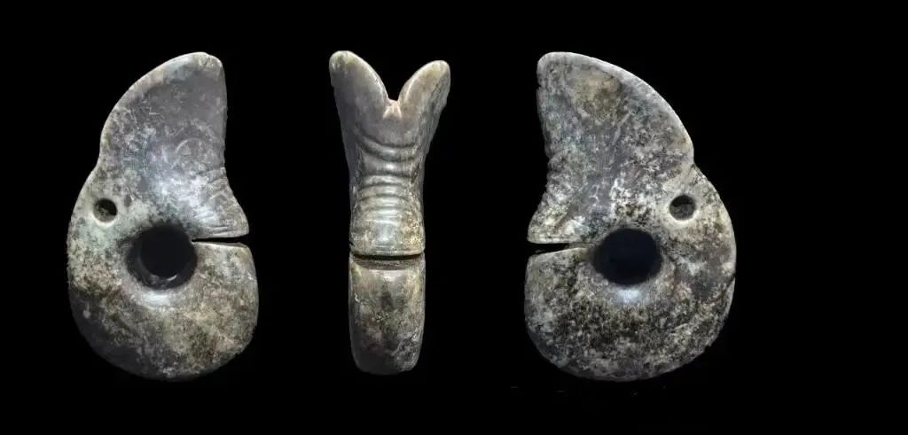 1741570648163078.jpg 640 (2).jpg