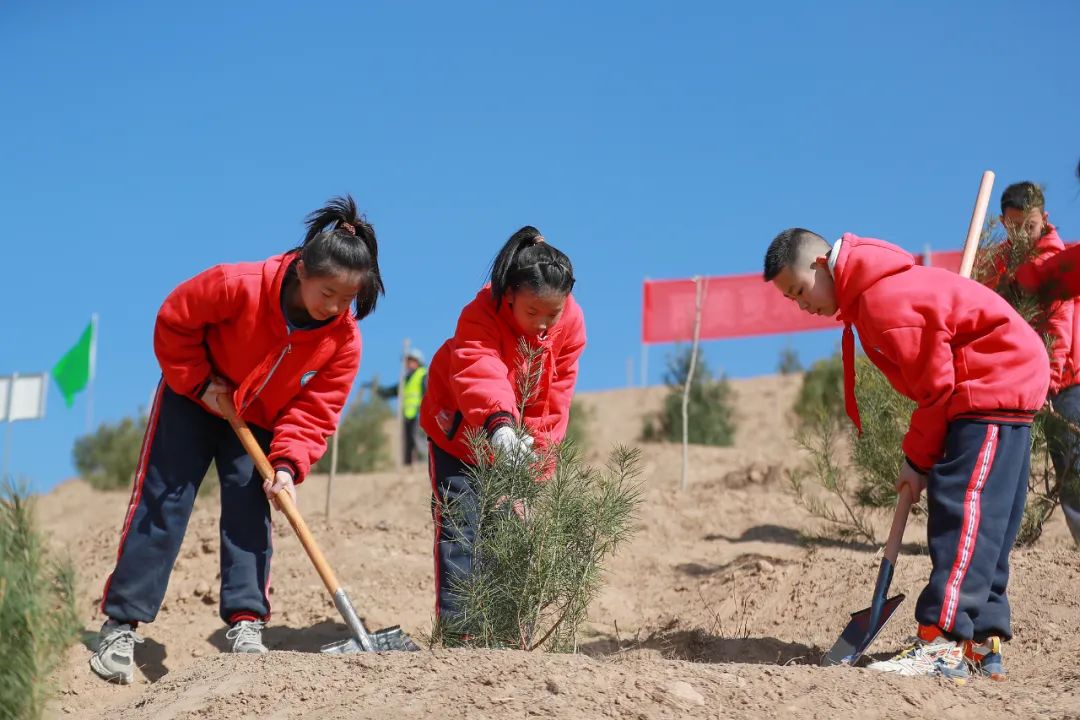 1741741915522588.jpg 640.jpg