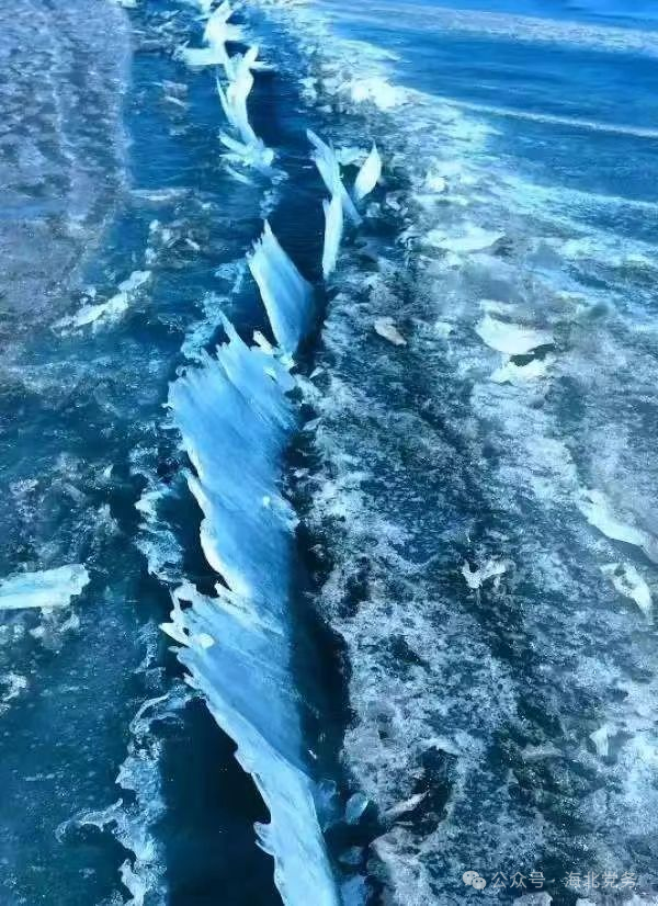 1741848830704801.png 640 (2).png