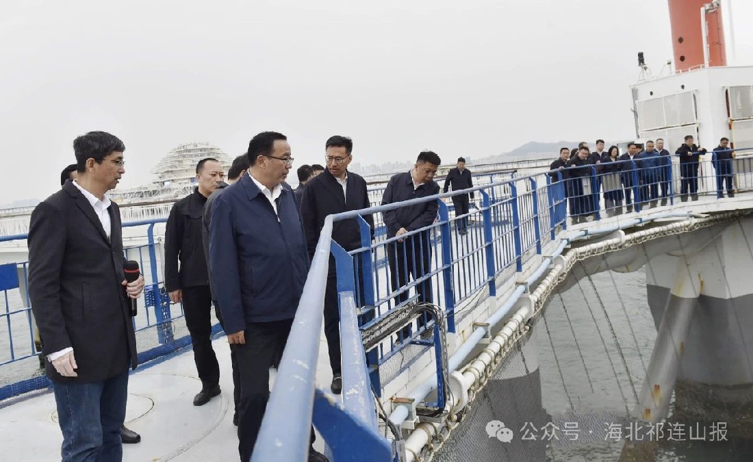 1745197154392557.jpg 4.jpg