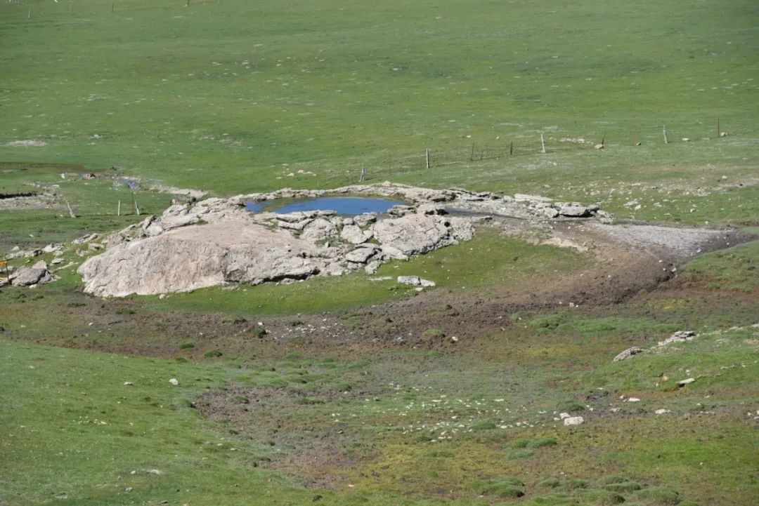 1746163734178015.jpg 图片