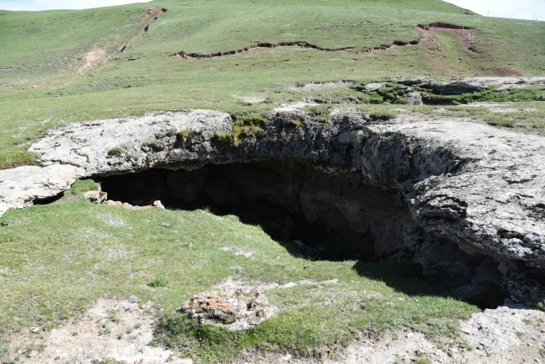 1746163842327534.jpg 图片