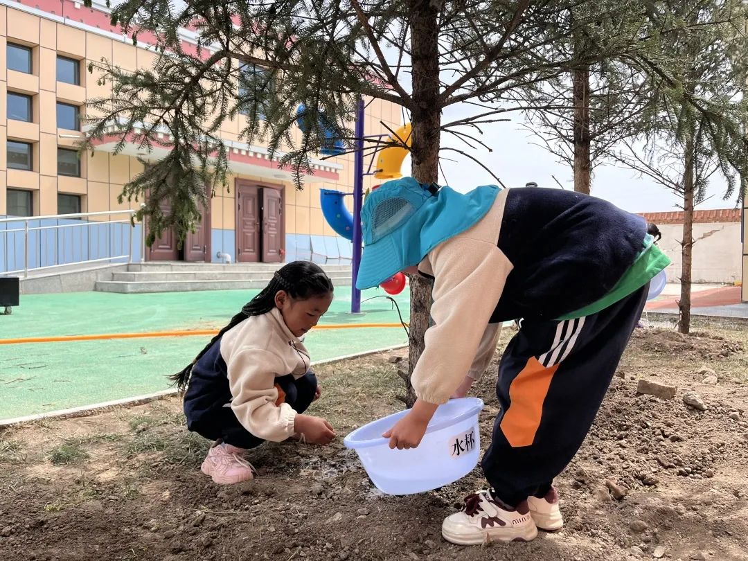 微信图片_20250519175559.jpg 微信图片_20250519175559.jpg