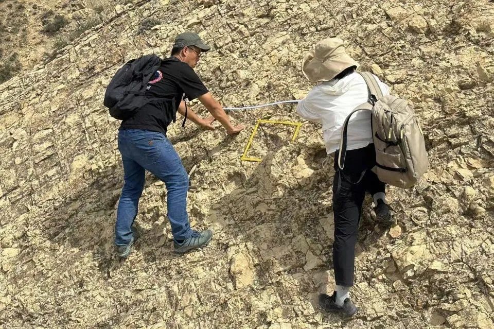 1750382545362335.jpg e0d222ca94363c7e09d94c7056bde22.jpg