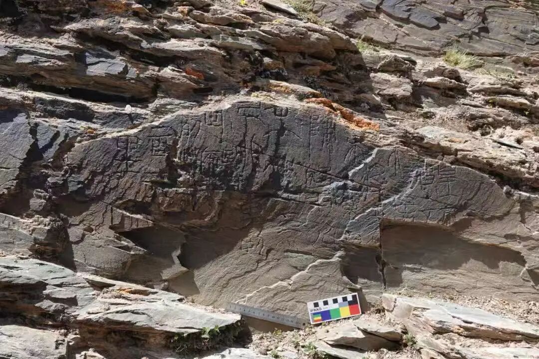 1757983505989126.jpg b04b1a095f37053f0baa6a08da83b2b3.jpg