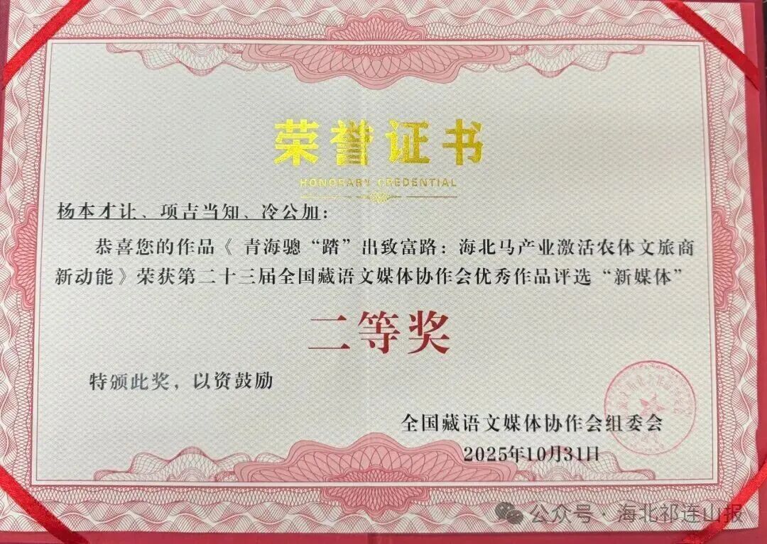 1762217884736449.jpg 05.jpg