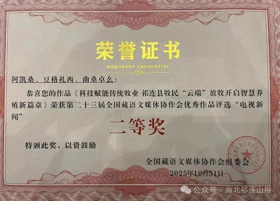 1762217995200066.jpg 07.jpg