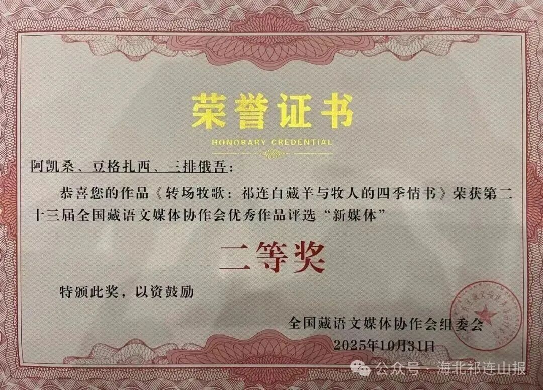 1762217923129471.jpg 06.jpg