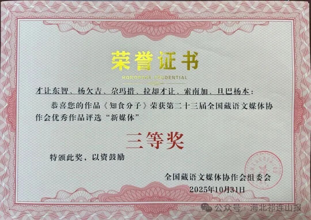 1762218149262860.jpg 11.jpg