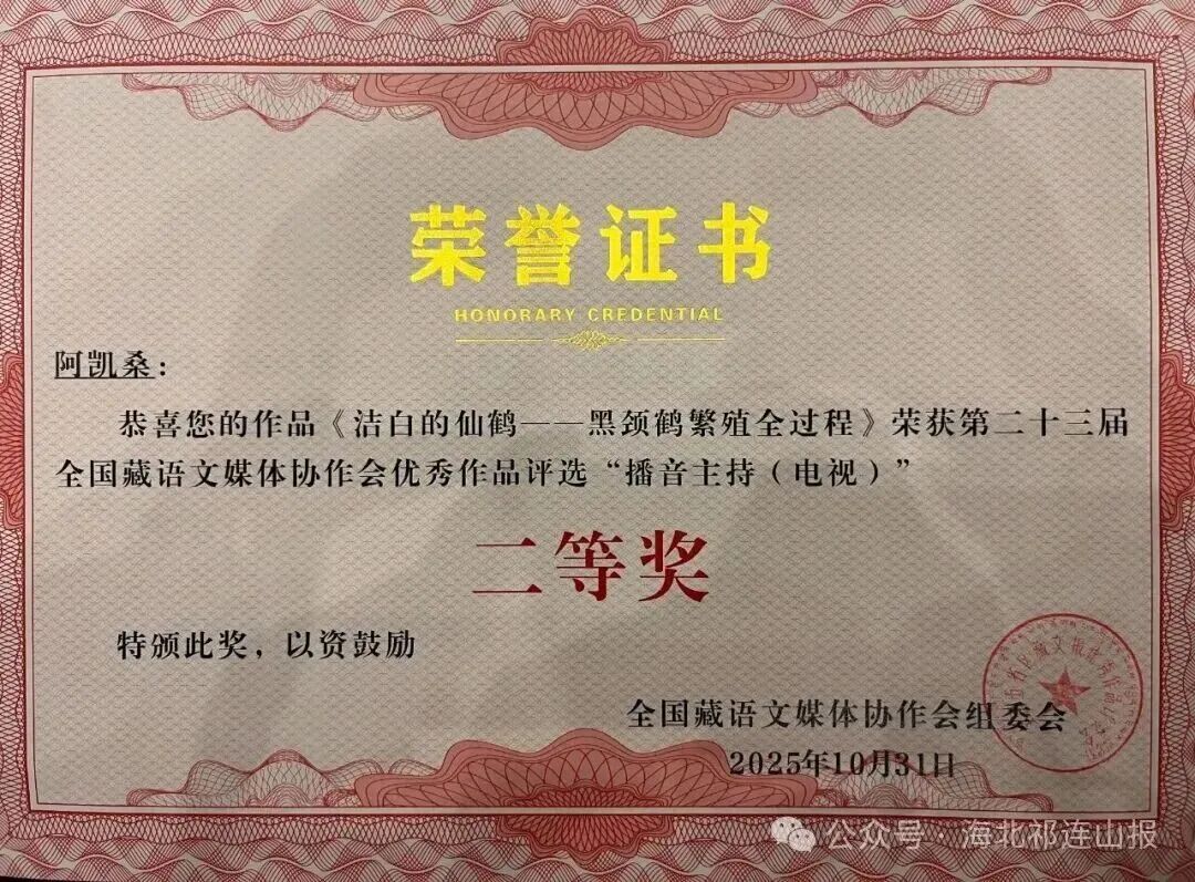 1762218040291999.jpg 08.jpg