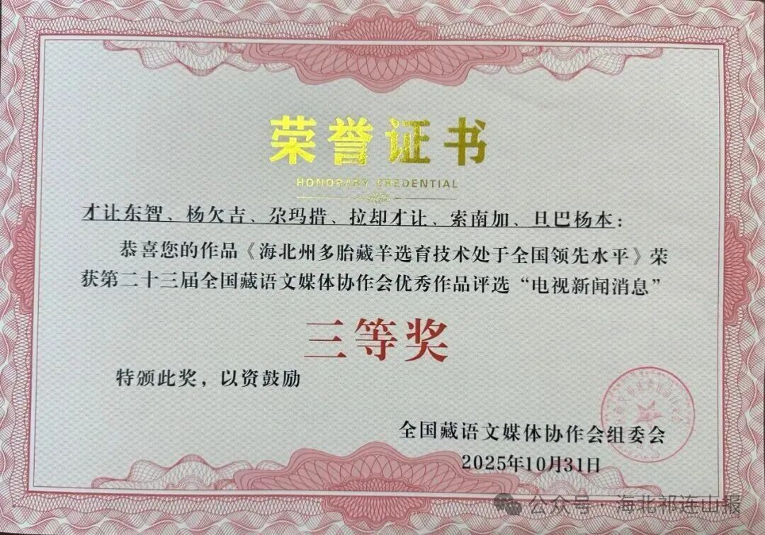 1762218299147699.jpg (15).jpg